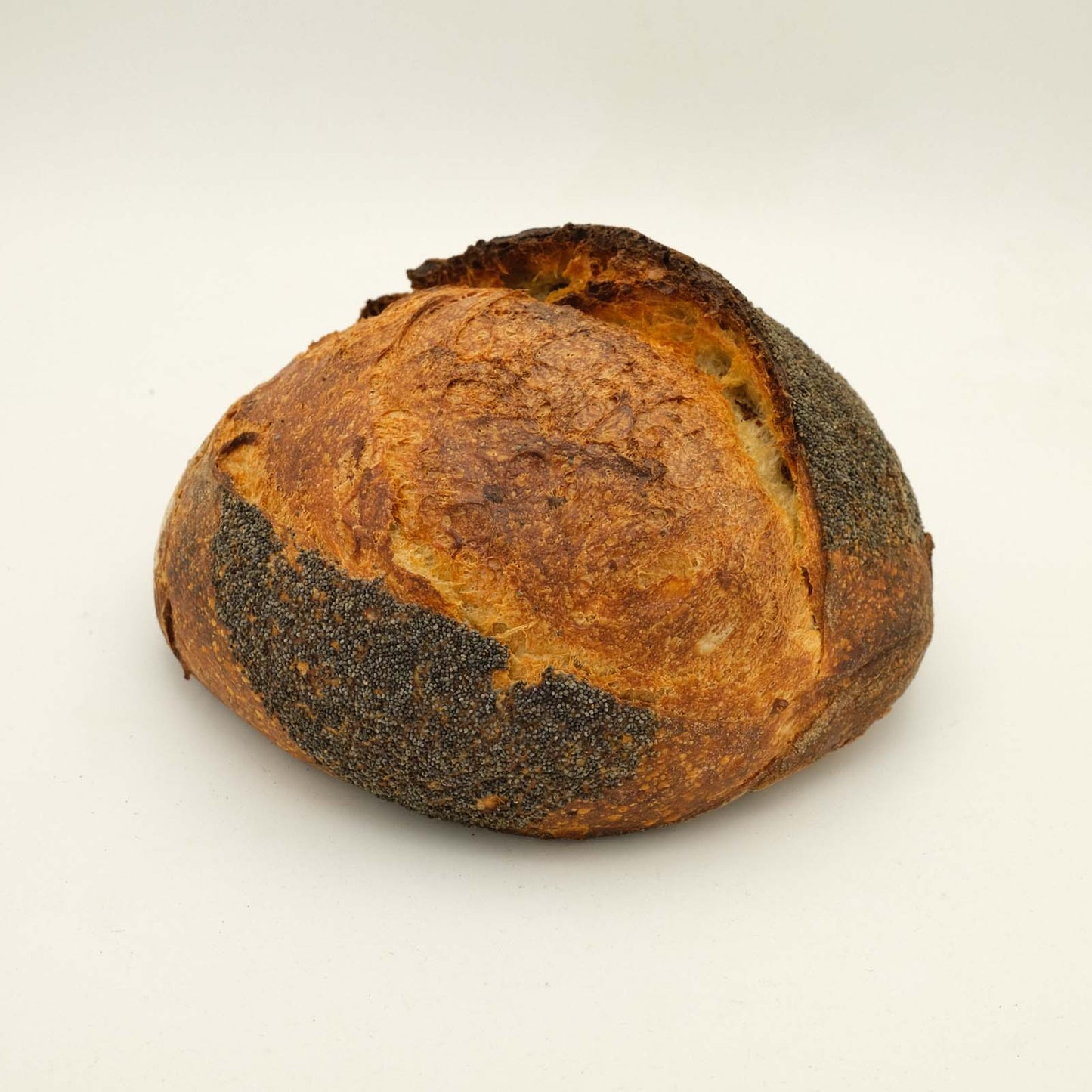 Dusty Knuckle Potato Sourdough